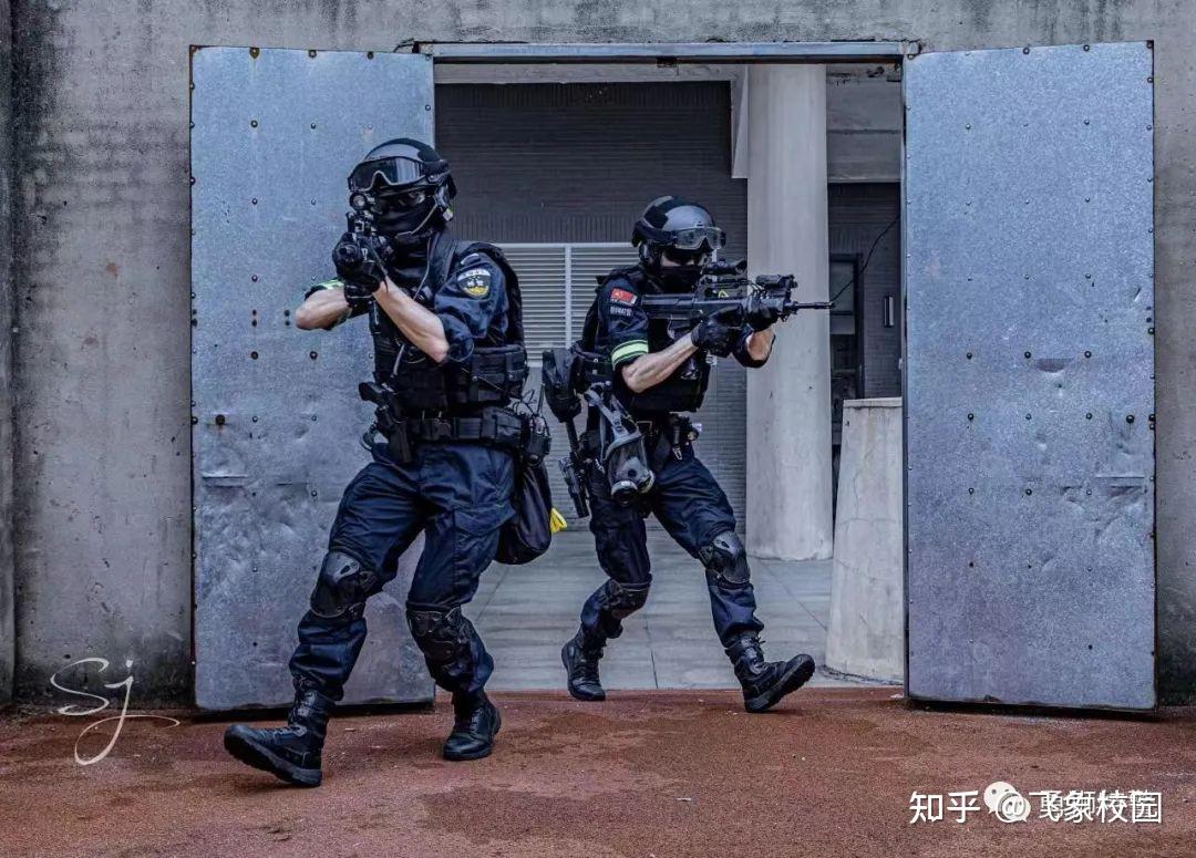 战术巡礼：三大流派战术全面解析的简单介绍