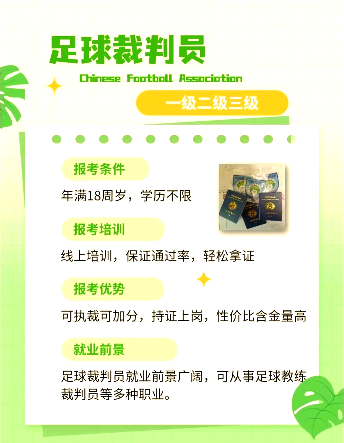 开云体育-关于全国青少年足球裁判员培训示范体系正式实施的信息