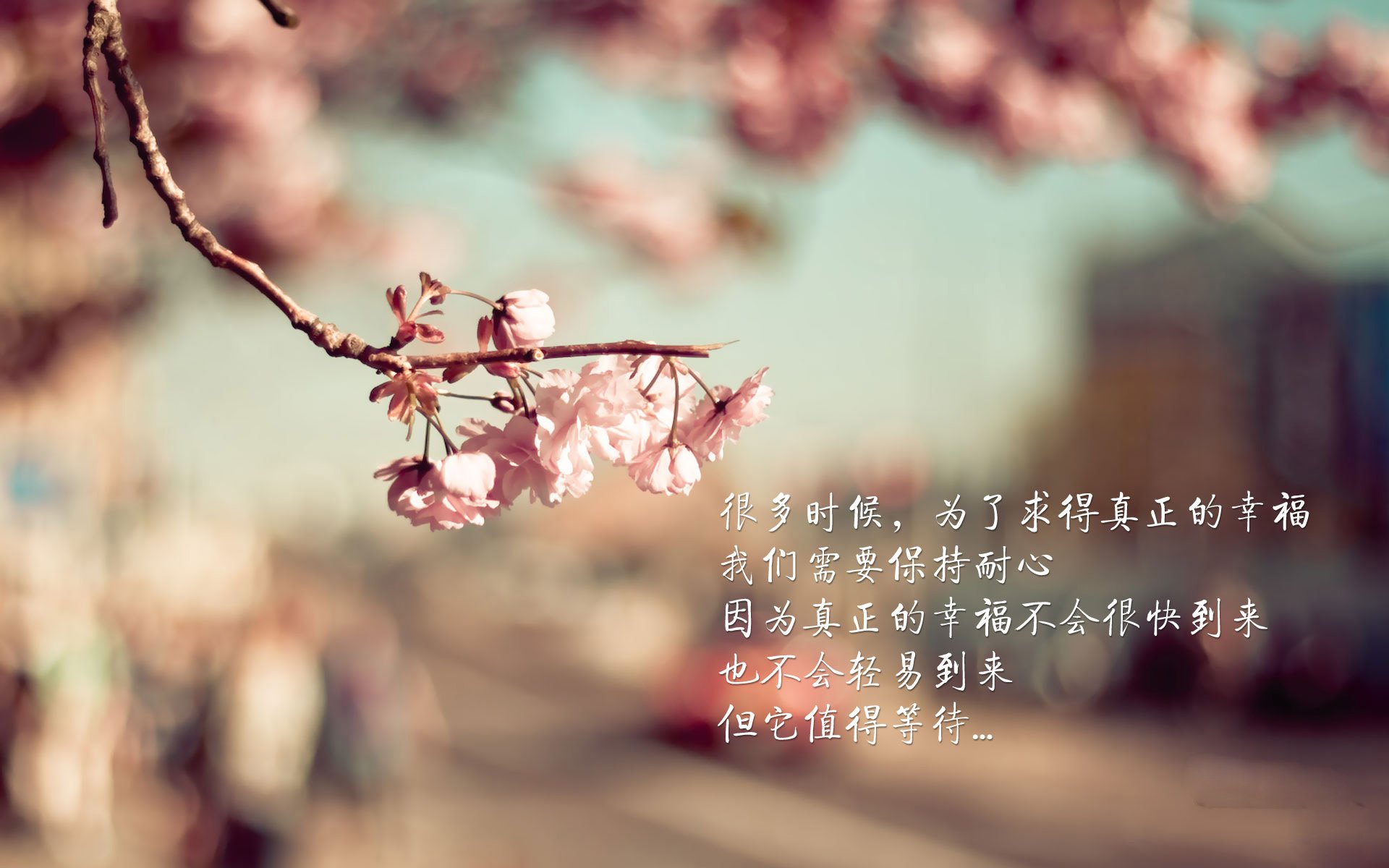 开云kaiyun-美国乒乓队未来展望：如何培养更多的顶级年轻球员，美国乒乓球运动员